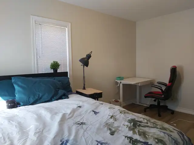 SPACIOUS 5 BEDROOM IN OLD UNIVERSITY AREA - Photo 2