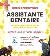 Assistant(e) dentaire