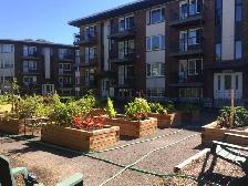 5 1/2 à Ste-Foy près des ponts pour JUILLET