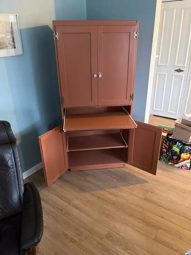 Unique Multipurpose Cabinet - Photo 3