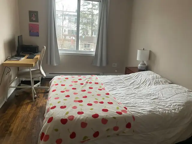 5 1/2 apartment NDG - Photo 6