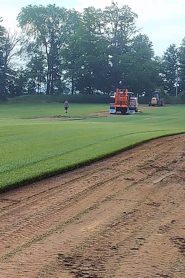 SOD SOD SOD - Photo 3