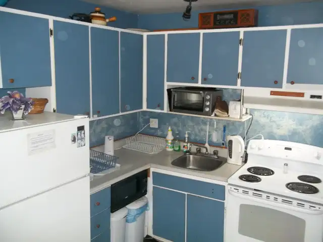 OUI TOUT CELA à ce prix :  400$    bus 803 801 330,331 28 60 61 - Photo 5