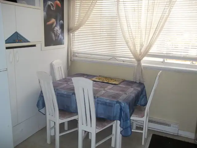 OUI TOUT CELA à ce prix :  400$    bus 803 801 330,331 28 60 61 - Photo 6