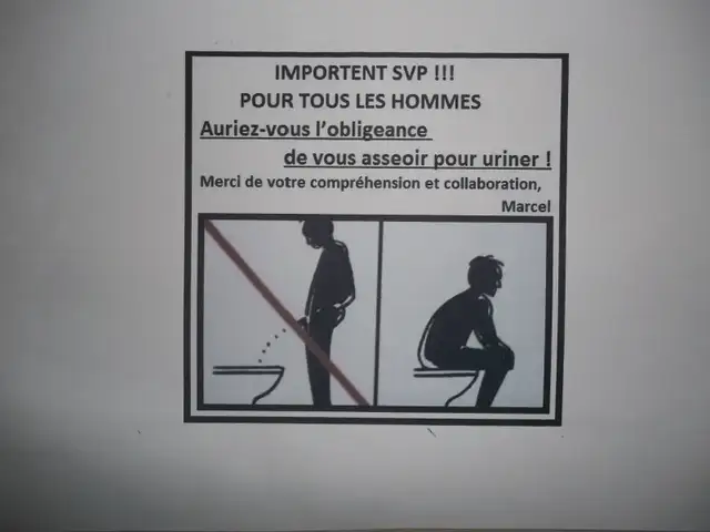 OUI TOUT CELA à ce prix :  400$    bus 803 801 330,331 28 60 61 - Photo 9