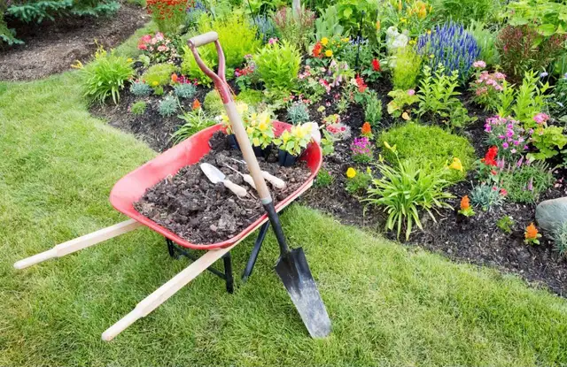 Landscaping and Gardening