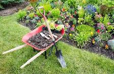 Landscaping and Gardening