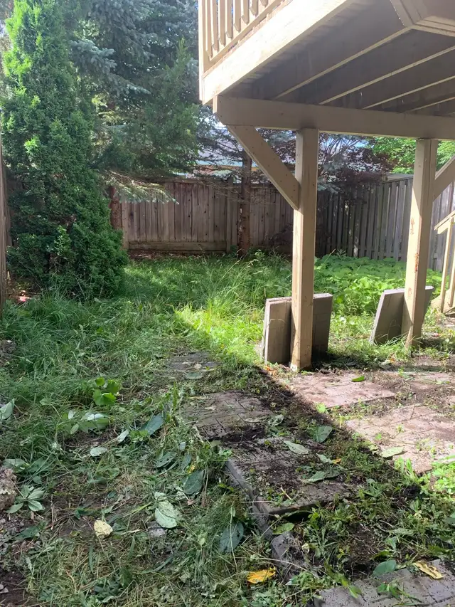 Landscaping and Gardening - Photo 3