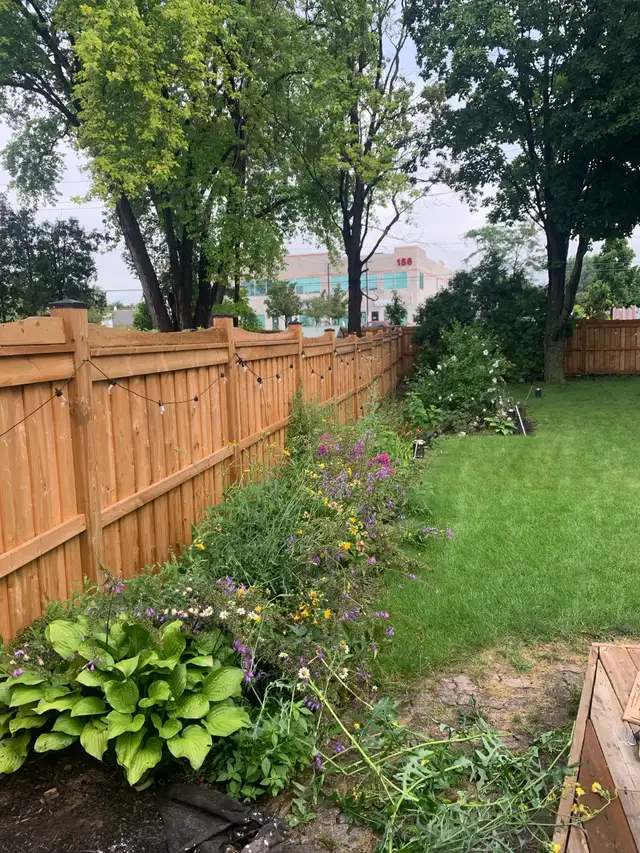 Landscaping and Gardening - Photo 5