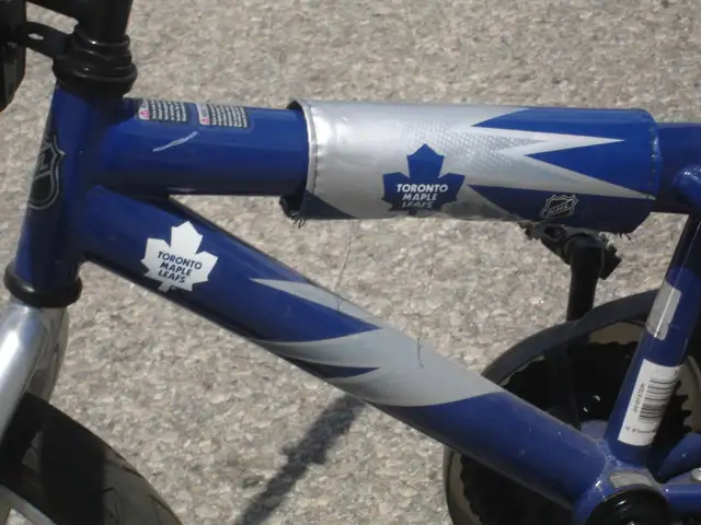 IT'S A BOY'S LEAF FAN ALMOST NEW 16' TORONTO MAPLE LEAF BIKE! - Photo 5