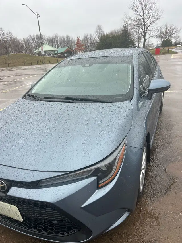 Corolla LE Plus - Photo 2