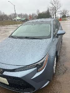 Corolla LE Plus - Photo 2
