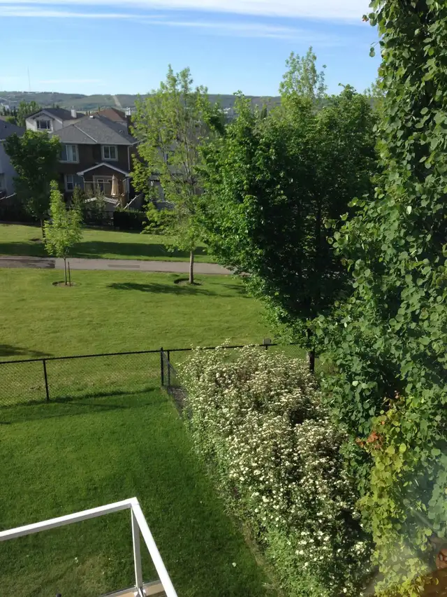 ️ Furnished Room with Mountain Views – Tuscany, NW Calgary