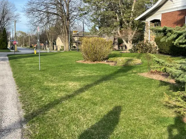 IRON EDGE OUTDOOR SOLUTIONS – LAWN CARE & PROPERTY MAINTENANCE