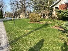 IRON EDGE OUTDOOR SOLUTIONS – LAWN CARE & PROPERTY MAINTENANCE