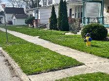 IRON EDGE OUTDOOR SOLUTIONS – LAWN CARE & PROPERTY MAINTENANCE - Photo 3