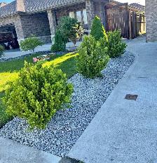 IRON EDGE OUTDOOR SOLUTIONS – LAWN CARE & PROPERTY MAINTENANCE - Photo 5