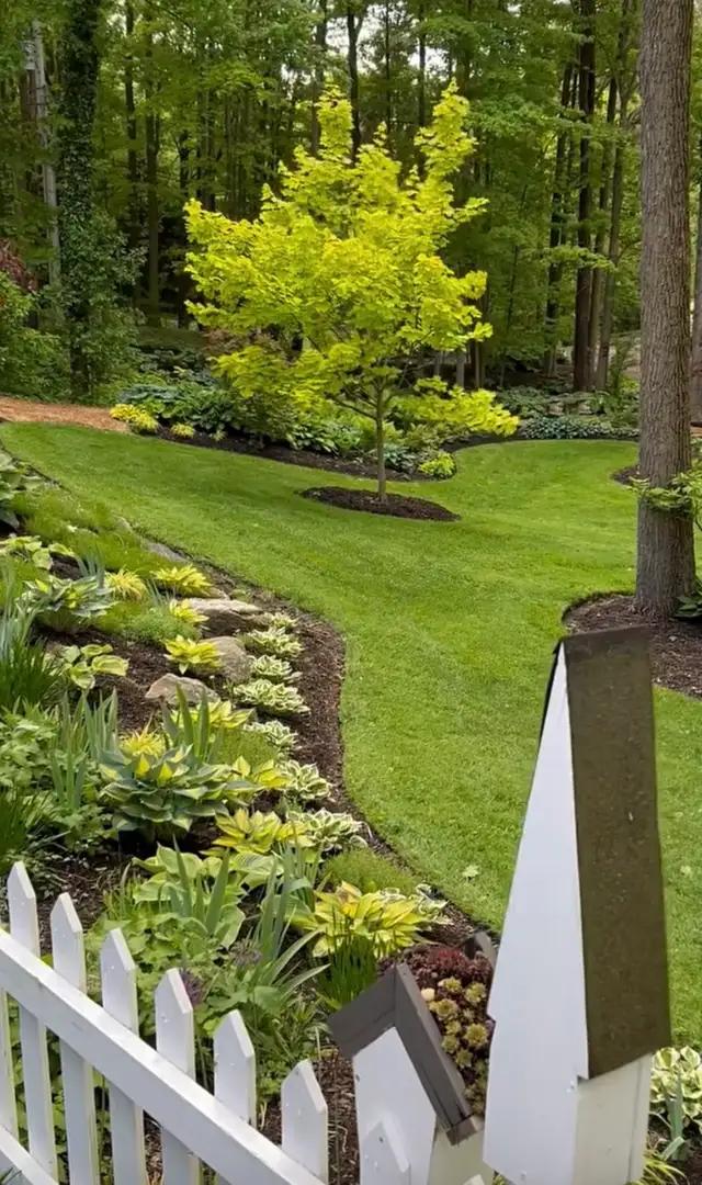IRON EDGE OUTDOOR SOLUTIONS – LAWN CARE & PROPERTY MAINTENANCE - Photo 7