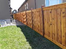 IRON EDGE OUTDOOR SOLUTIONS – LAWN CARE & PROPERTY MAINTENANCE - Photo 8