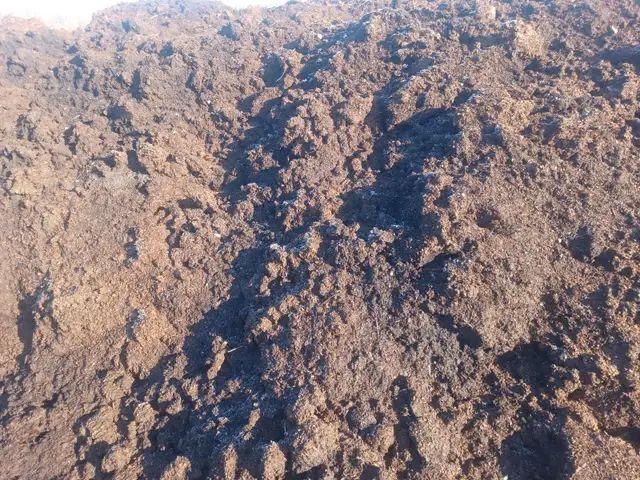 MANURE FOR SALE - Photo 2