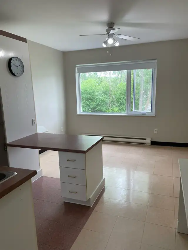 studio formidable à louer avec tout inclus - Photo 5