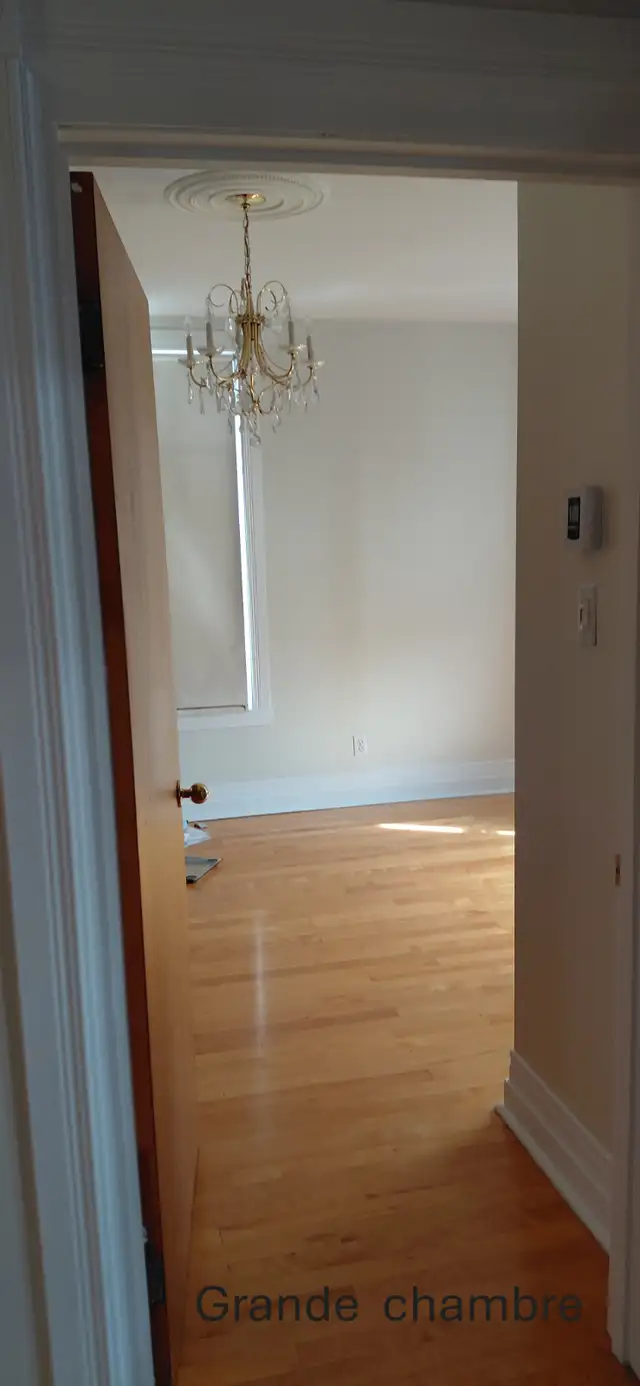 ! Disponible maintenant, à louer ! Logement et chambre à louer - Photo 22