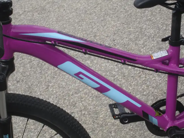 NEW GIRLS 24' GT STOMPER PRO SERIES 7 SPD, DISC BRAKES & SHOCKS! - Photo 5