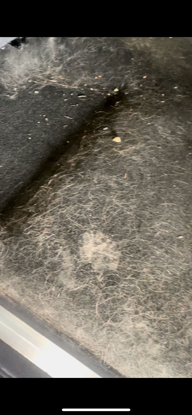 Car detailing interior exterior 150$ - Photo 2