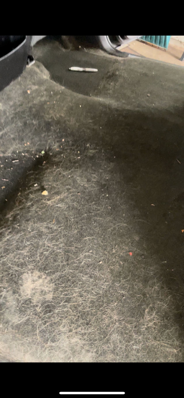 Car detailing interior exterior 150$ - Photo 3