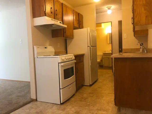 1 Bedroom Suite - ALL Utilities Included - Great Location - Photo 3