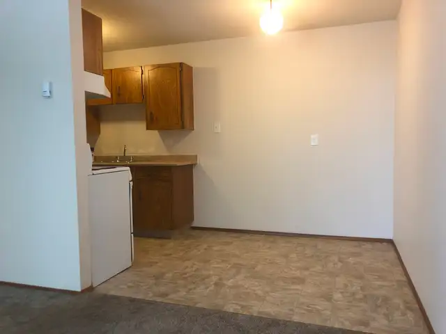 1 Bedroom Suite - ALL Utilities Included - Great Location - Photo 4