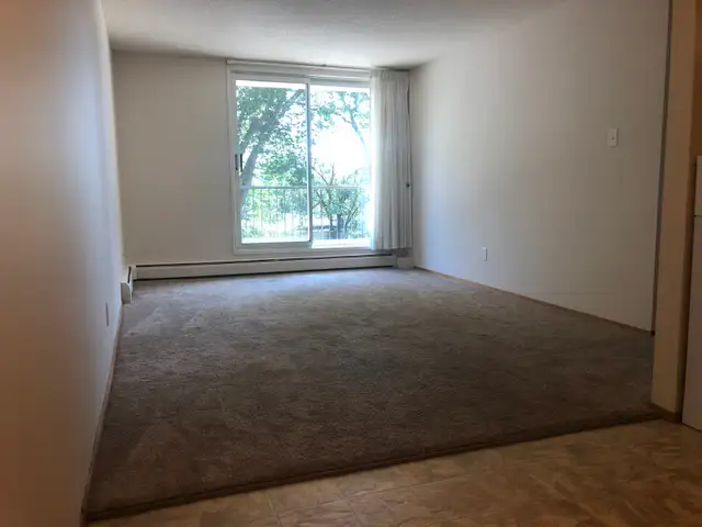 1 Bedroom Suite - ALL Utilities Included - Great Location - Photo 5