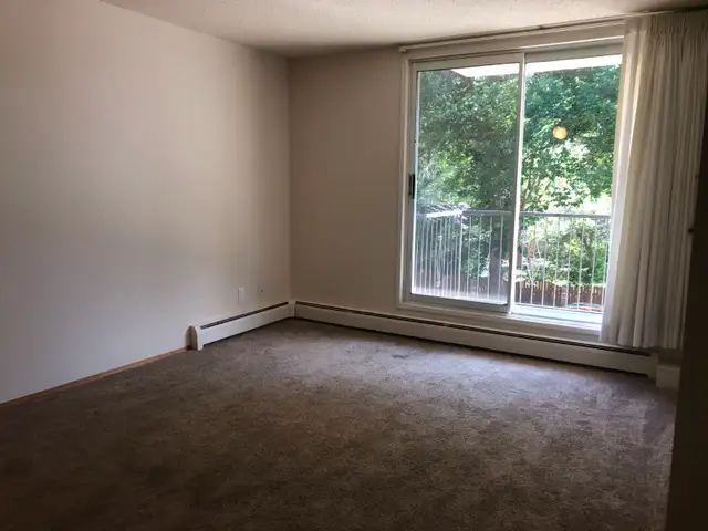 1 Bedroom Suite - ALL Utilities Included - Great Location - Photo 10