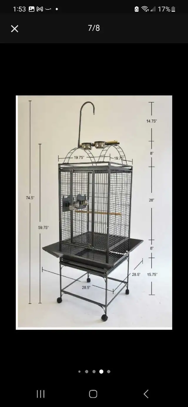 Green Cheek Conure Babies - Photo 4