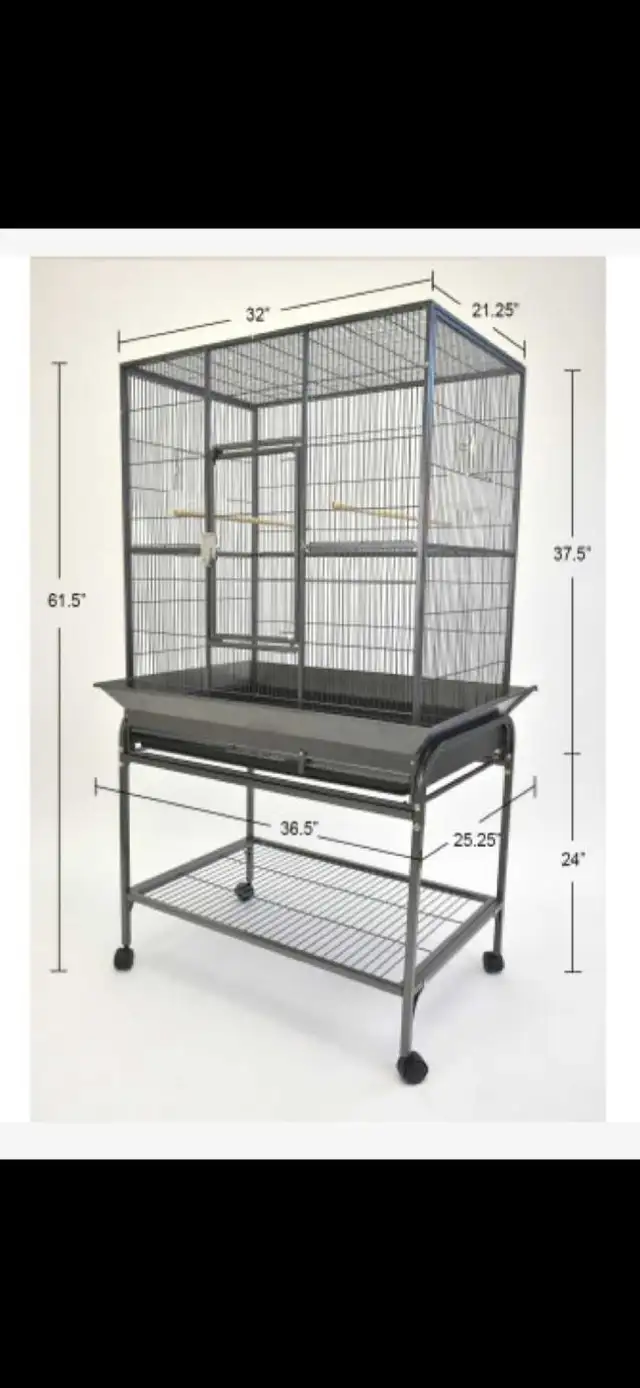 Green Cheek Conure Babies - Photo 5