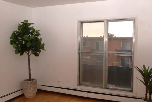 Anjou studio - Photo 2