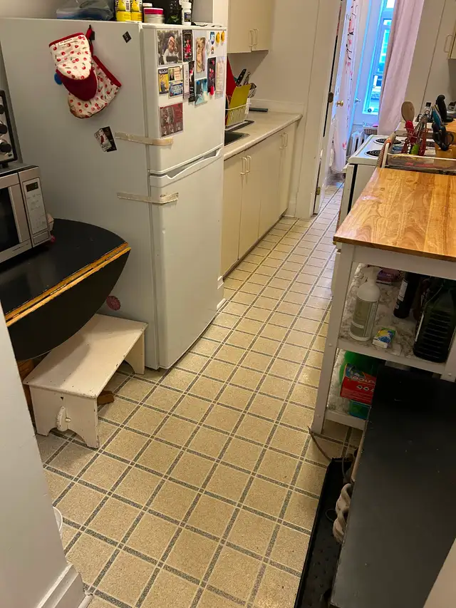 Roommate wanted / avail June - Photo 3