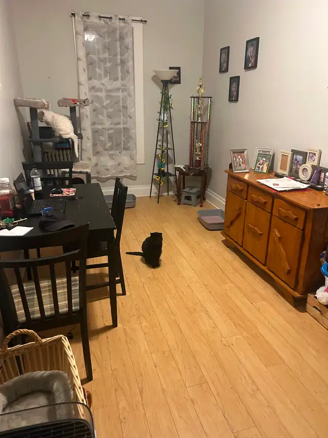 Roommate wanted / avail June - Photo 5