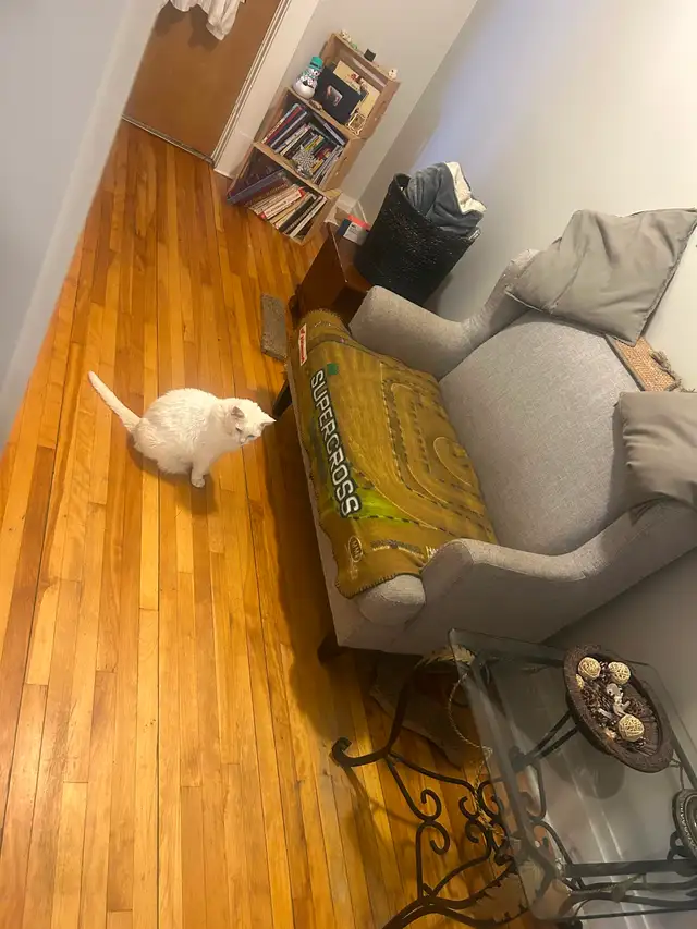 Roommate wanted / avail June - Photo 8