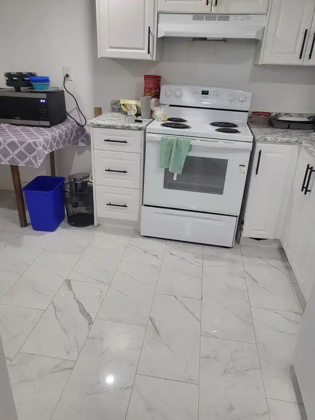 Basement rent to a family/group of professional worker's