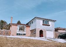 UTSC and Centennial College 3 rooms apartment for rental