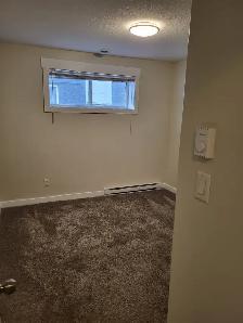 2 Bedroom Legal Basement Suite–Harbour Landing–Available May 1 - Photo 3