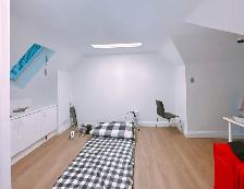 UTSC and Centennial College entire secondary unit for rent - Photo 2