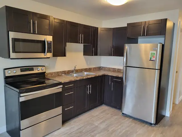 2 Bedroom Legal Basement Suite–Harbour Landing–Available May 1 - Photo 2