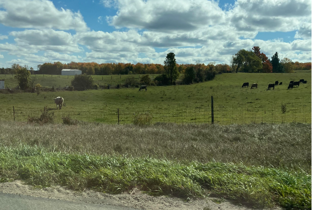 CONSIDERING SELLING YOUR VACANT LAND? ...