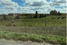 CONSIDERING SELLING YOUR VACANT LAND? ...