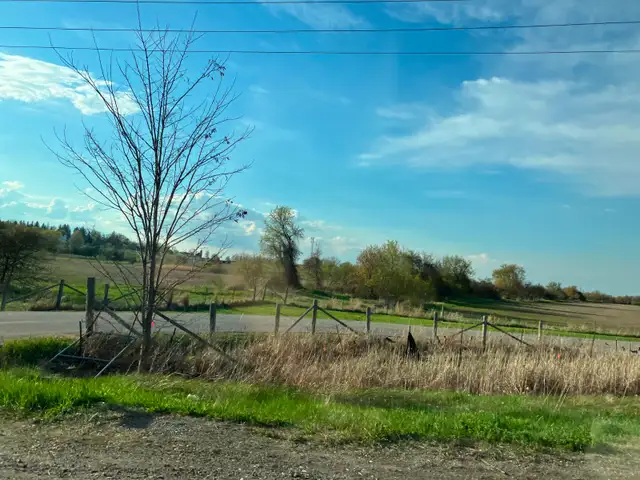 CONSIDERING SELLING YOUR VACANT LAND? ... - Photo 2