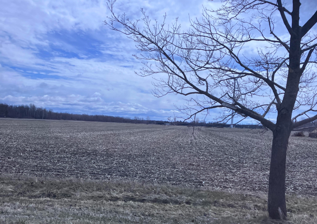 CONSIDERING SELLING YOUR VACANT LAND? ... - Photo 4