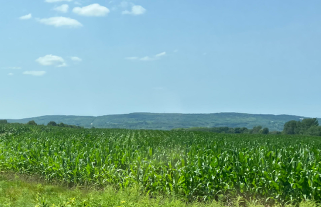 CONSIDERING SELLING YOUR VACANT LAND? ... - Photo 6