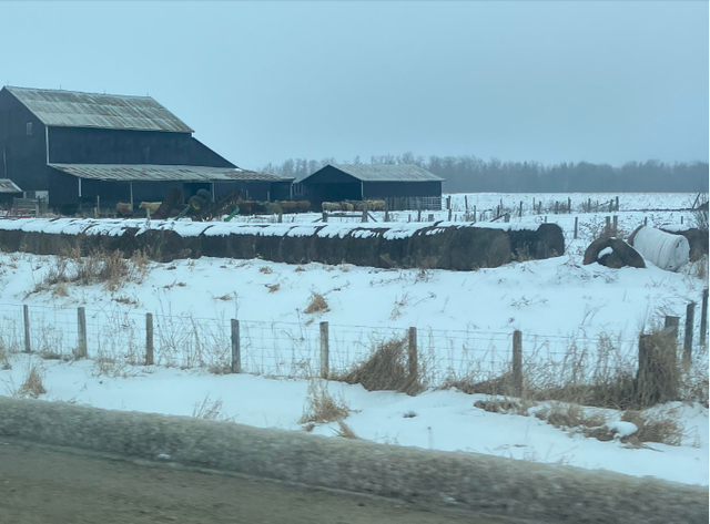 CONSIDERING SELLING YOUR VACANT LAND? ... - Photo 7